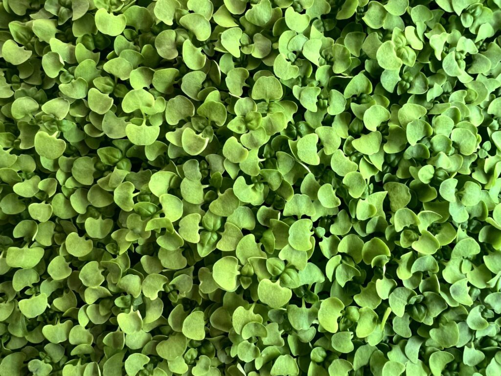 Hero background