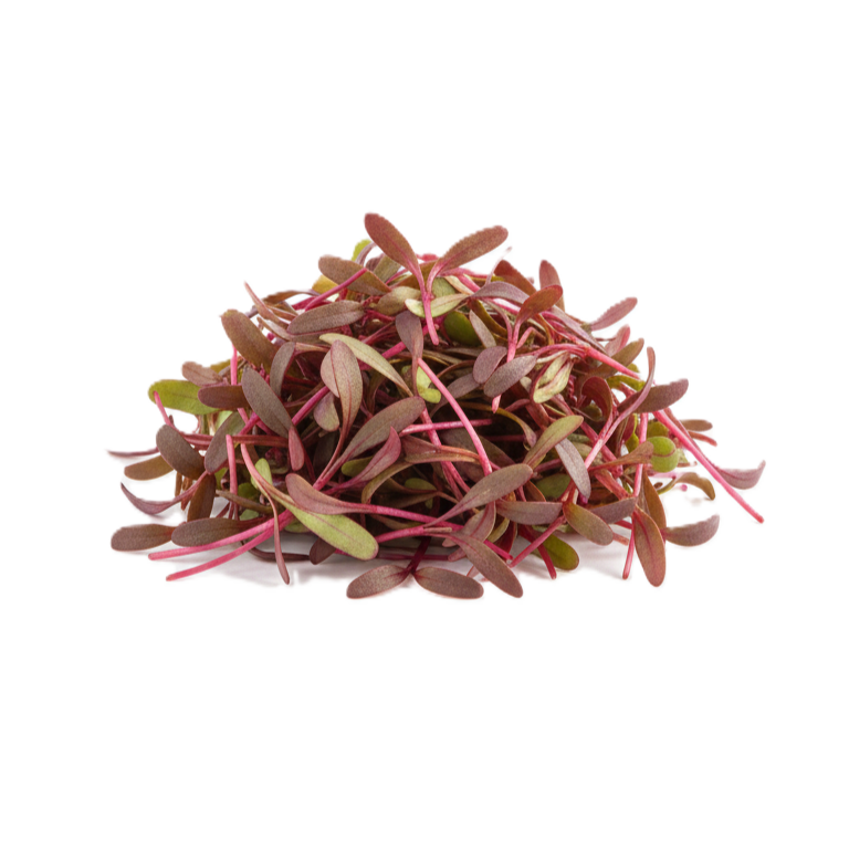 Amaránt mikrozöld rendelés FreshLeaf
