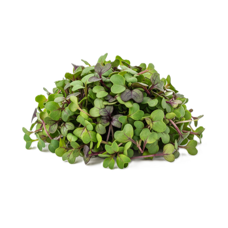 Ázsia mikrozöld mix rendelés FreshLeaf