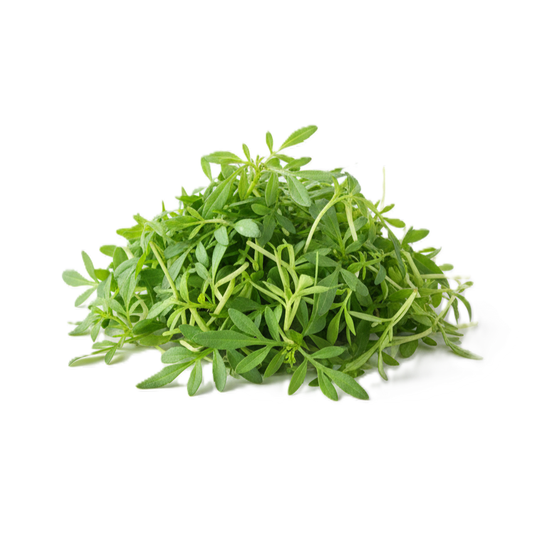 Bársonyvirág mikrozöld