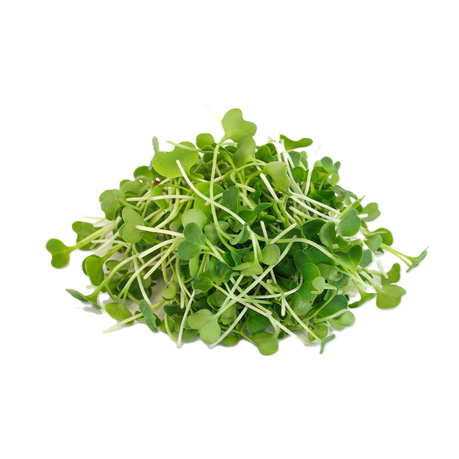 Daikon retek mikrozöld
