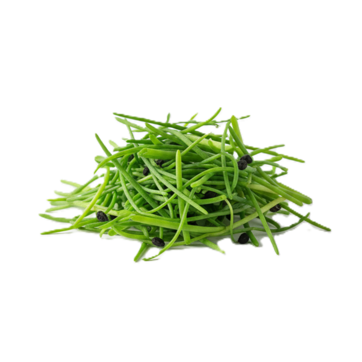 Hagyma mikrozöld