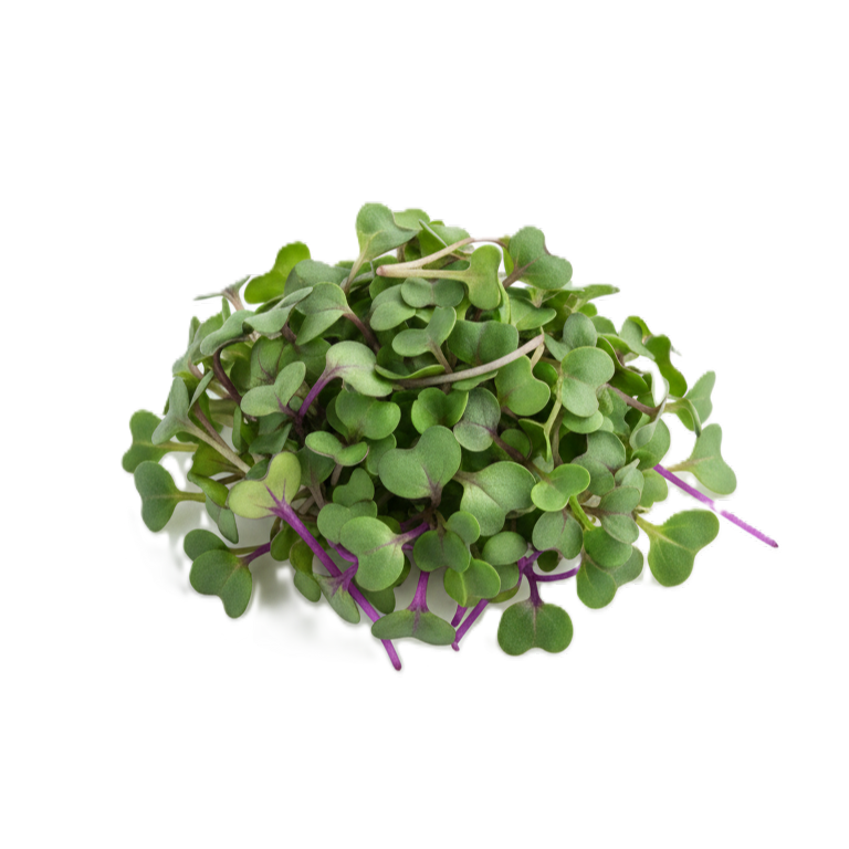 Káposzta mikrozöld