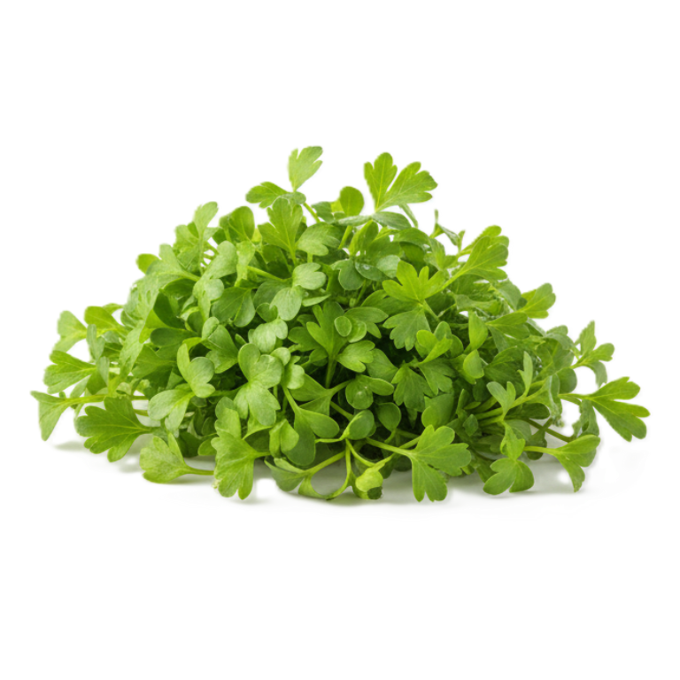 Petrezselyem mikrozöld