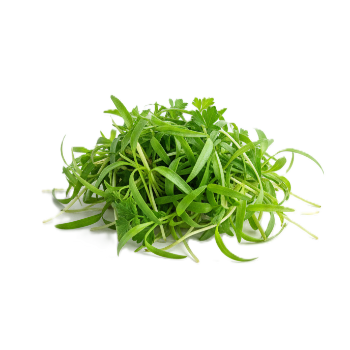 Turbolya mikrozöld rendelés FreshLeaf
