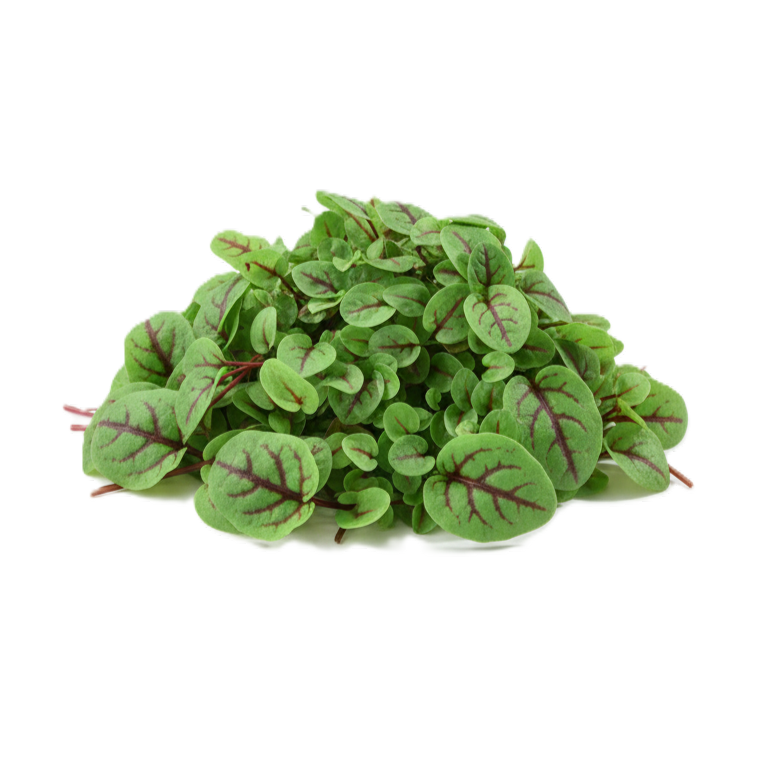 Vérsóska mikrozöld
