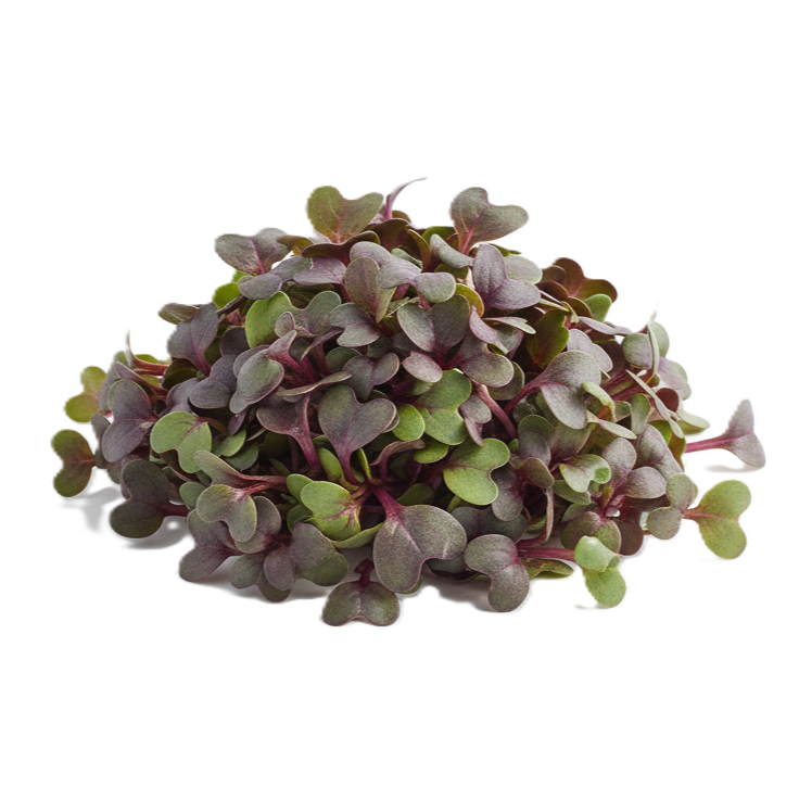 Vörös mizuna mikrozöld